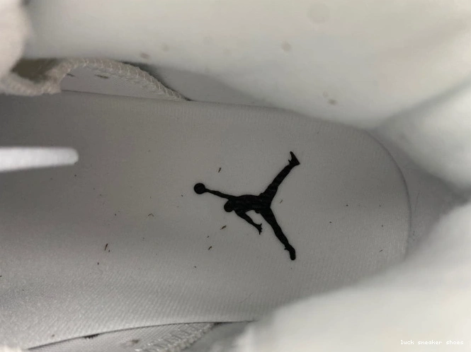 Rep LUCY Jordan Oreo 6 Reverse Air CT8529-112 0701